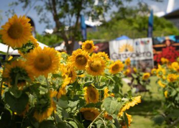 Llega la segunda edición de Puerto Rico Home + Garden Expo