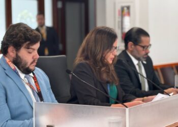 Senadora Nitza Moran celebra vista pública sobre proyecto que busca regular los alquileres a corto plazo en Puerto Rico