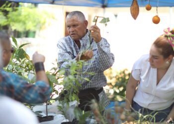 UPR Utuado celebrará nueva edición de Festival Tierra Adentro con innovación agroempresarial