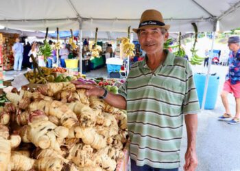 Barranquitas celebrará la 25.ª edición del Festival del Apio con música, cultura y apoyo al agro local
