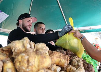 Regresa el Mercado Familiar al estacionamiento del Centro de Gobierno