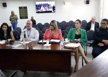 Apoyo interagencial para exigir protectores de hélices en embarcaciones dentro de zonas de bañistas