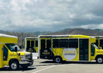 Yauco fortalece su sistema de transporte colectivo con nueva flota vehicular para Yauco Expresso