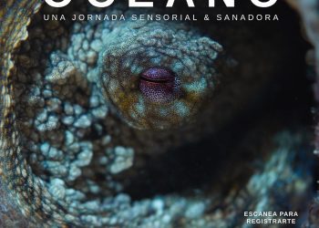 Susurros del Océano: Una exposición sensorial inspirada en la profundidad de la vida marina