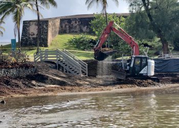 Municipio de San Juan realiza trabajos de limpieza de sargazo en el Escambrón