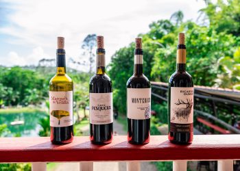 Una tarde de Vinos y Brasa con la Denominación de Origen Ribera del Duero para despedir el verano