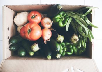 Banco de Alimentos de Puerto Rico amplía acceso a alimentos nutritivos en Santa Isabel y Juana Díaz con apoyo del Fondo Bayer