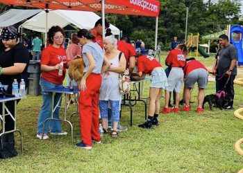 Feria de vacunación para mascotas este domingo en Loíza