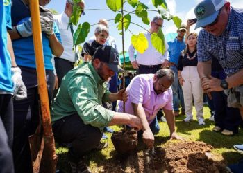 Educación inicia proyecto de reforestación escolar para crear conciencia ambiental