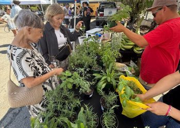 Miramar se enciende con cultura y comunidad en “Noches de Barrio”