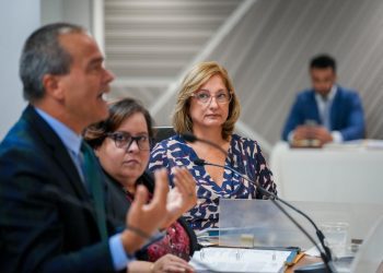 Negociado de Energía detalla ante el Senado estado y avances en proyectos