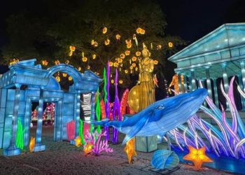 El festival de luces más impresionante del mundo regresa a Puerto Rico en el  Parque de las Ciencias by Toroverde powered by Claro!