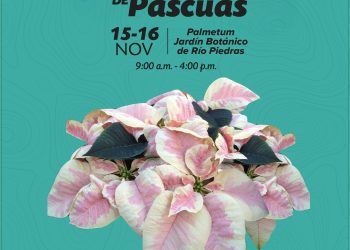 La Universidad de Puerto Rico Comienza la Navidad en el Jardín Botánico de Río Piedras