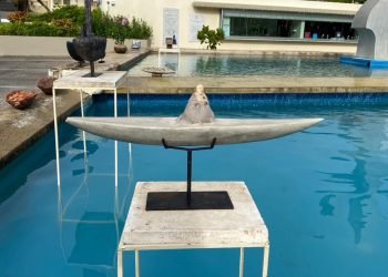 Flota de cerámica  regresa a las fuentes de Centro de  Bellas Artes de Santurce