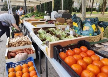 Plaza de la Juventud: un espacio para la cultura y la comunidad   