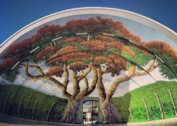 Lidera Peñuelas oferta turista-cultural ante visita del Icon Of The Seas