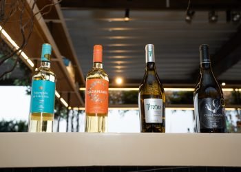 La Denominación de Origen Rueda celebró su uva insignia en el  “Día Mundial del Verdejo”