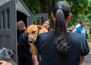 Kia reafirma su compromiso con las mascotas en Puerto Rico