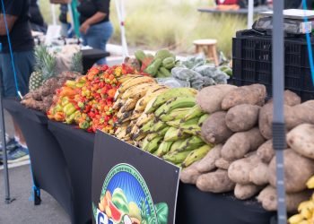 Mercado Guayabas: Una nueva esperanza para la agricultura y el emprendimiento en el Este de Puerto Rico