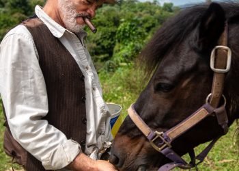EL ACTOR TEÓFILO TORRES PRESENTA  ¡Pateco en Navidad fúnebre!