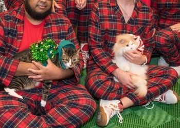 Plaza Las Américas continúa celebrando la magia de la Navidad con eventos especiales desde este jueves hasta el lunes