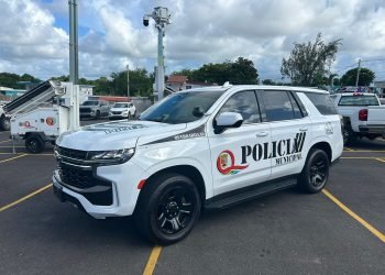 Se prepara Quebradillas para la fiesta jíbara más grande de PR