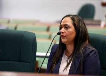 Organizaciones solicitan numerosas modificaciones a proyecto que enmienda la Ley de Salud Mental