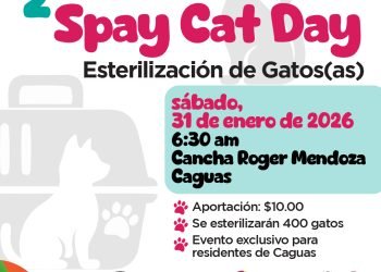 Municipio de Caguas anuncia el Segundo Spay Cat Day que se llevará a cabo el sábado, 31 de enero