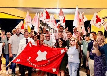 A paso firme la reorganización del PPD